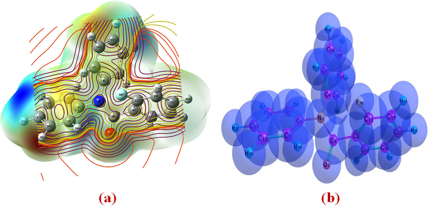 Figure 11 
                  (a) Molecular electrostatic potential map calculated at B3LYP/6-311++G(d,p) level. (b) Van der Waals radii calculated at B3LYP/6-311++G(d,p) level.
               