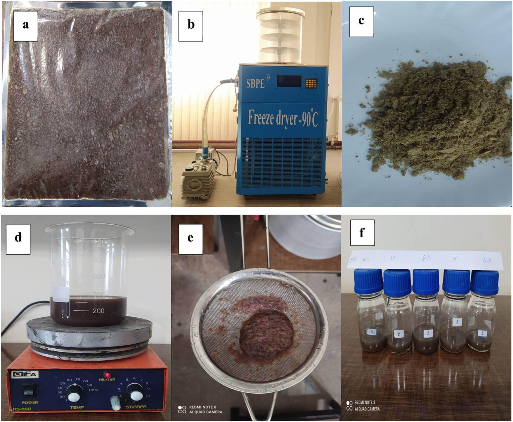 Figure 1 
                  Schematic of the preparation of A. urumiana extract: freezed A. urumiana (a), freeze dryer (b), A. urumiana powder (c), dissolution of powder (d), filtration (e), and pH adjustment (f).
               