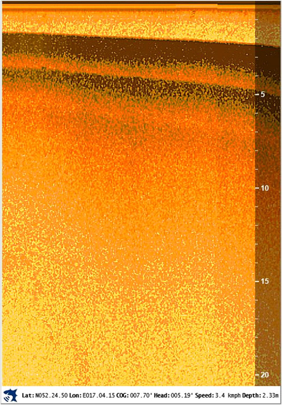 Figure A1
Image of the bottom structure of Lake Swarzędzkie.