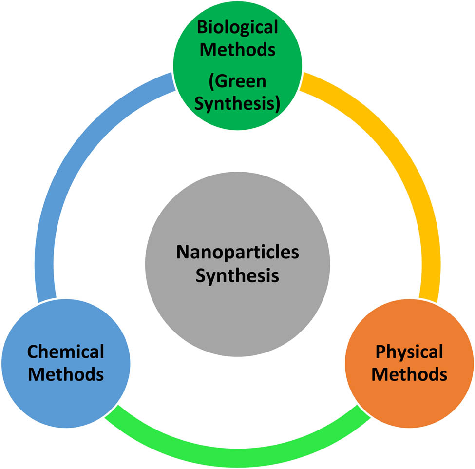 Figure 1 
               Methods for the synthesis of nanoparticles.
            