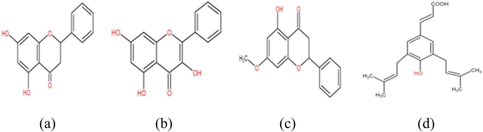 Figure 4 
               Chemical structures of important phenolic and flavonoid agents: (a) pinocembrin, (b) galangin, (c) pinostrobin, and (d) artepillin C.
            
