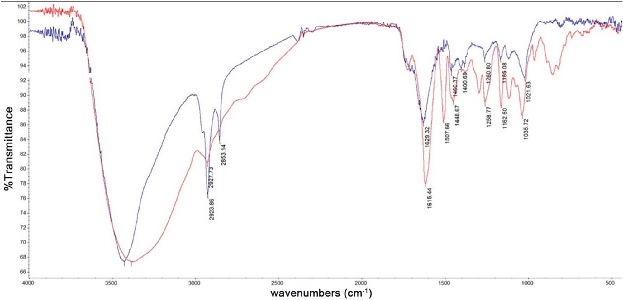 Figure 6 
                  FTIR spectra of CS-AuNPs (red line) and CS extracts (blue line).
               