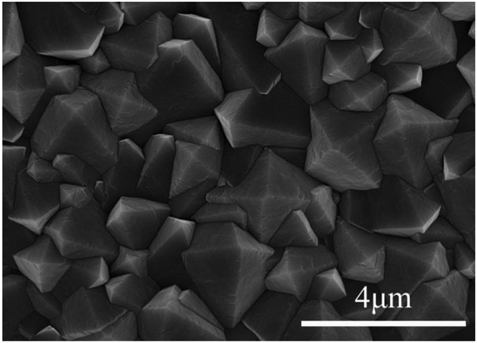 Figure 3 
                  SEM morphology of micron-scale diamond film surface.
               