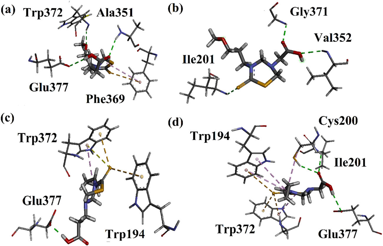 Figure 3 
                  (a–d) 3-D interaction plots of compounds 3–6 modeled by using Discovery Studio Visualizer in the binding site of iNOS (PDB ID = 4NOS).
               