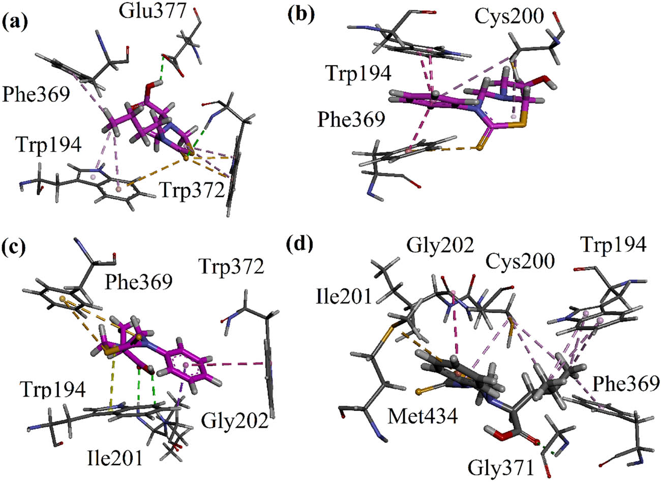 Figure 4 
                  (a–d) 3-D interaction plots of compounds 9, 10, 12, and 13 modeled by using Discovery Studio Visualizer in the binding site of iNOS (PDB ID = 4NOS).
               