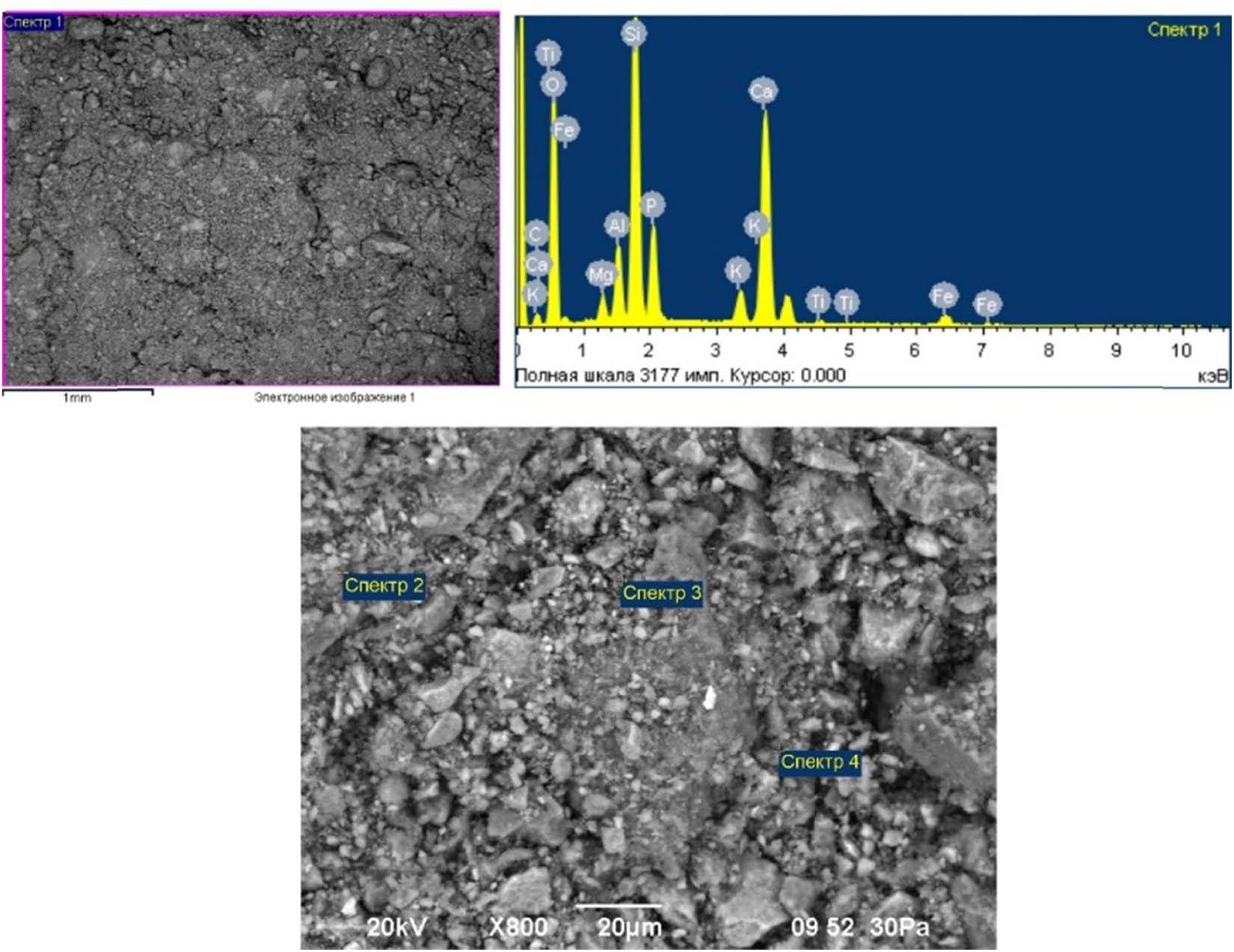 Teaser image from the article