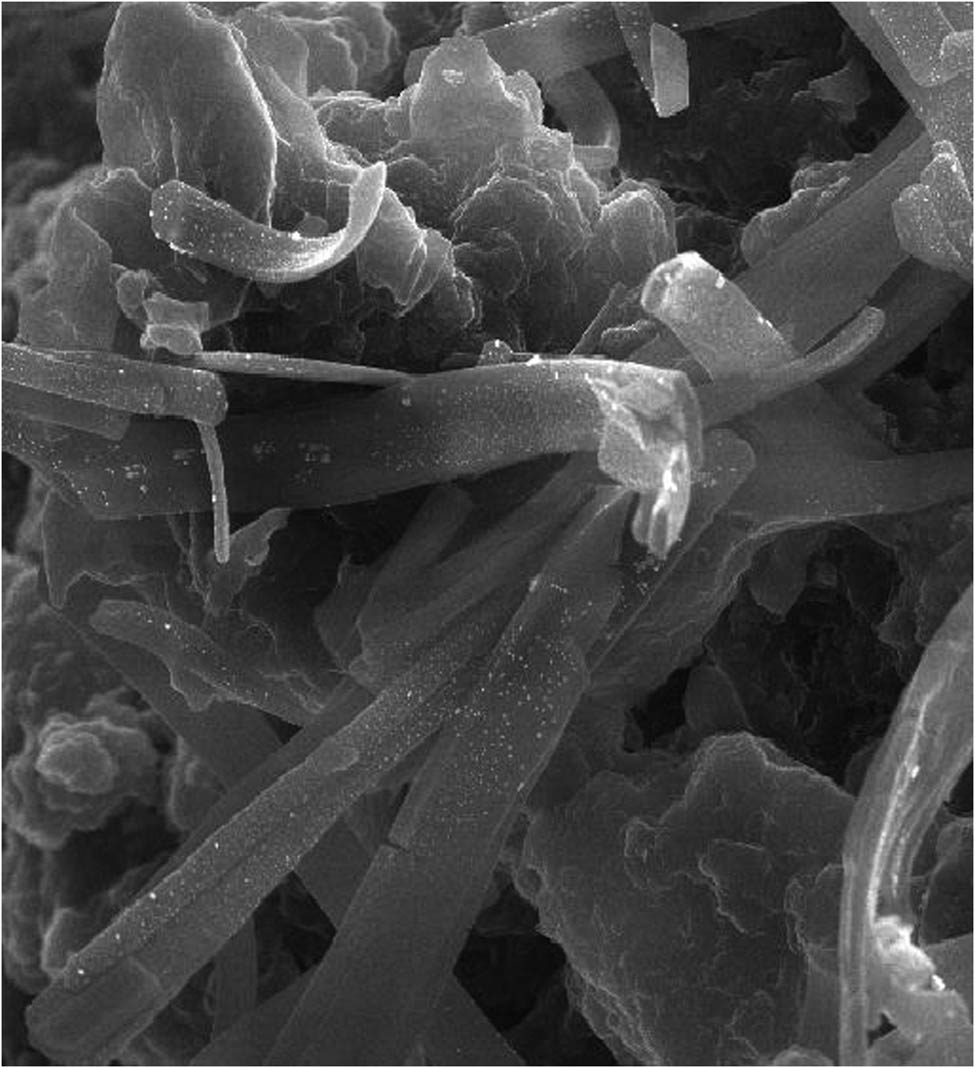Figure 2
SEM and SEM-EDX micrograph of chitosan-based mesosulfuron methyl + florasulam + MCPA isooctyl.