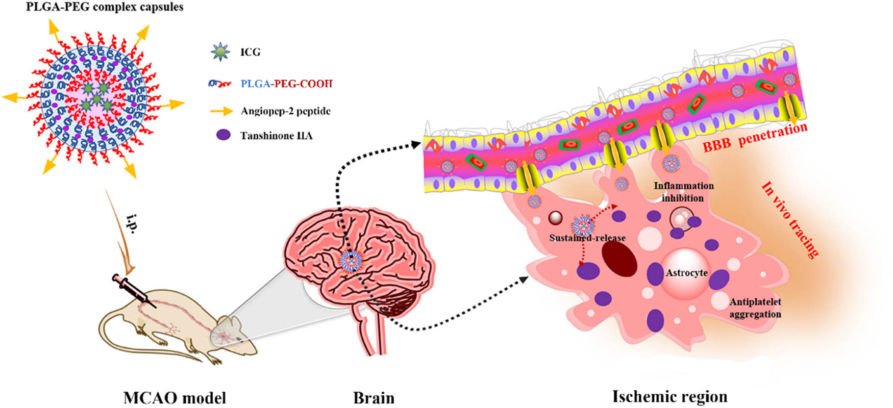Teaser image from the article