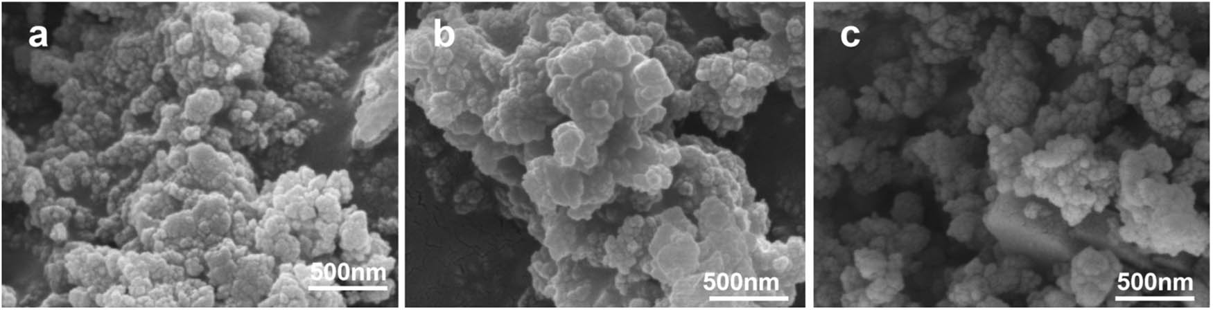 Figure 2 
                     SEM of AlCl3/Hβ catalysts prepared with different concentrations of AlCl3: (a) AlCl3 (1 g·L−1)/Hβ, (b) AlCl3 (3 g·L−1)/Hβ, and (c) AlCl3 (5 g·L−1)/Hβ.
                  