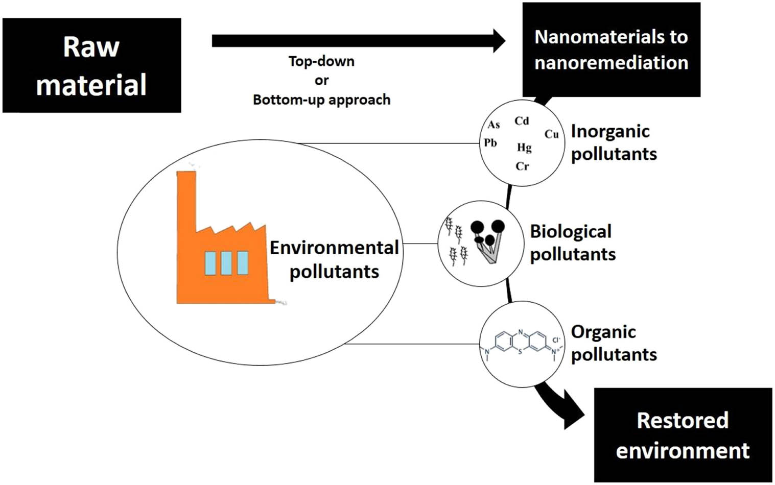 Figure 1
Nanomaterials as nanoremediators of environmental pollution.
