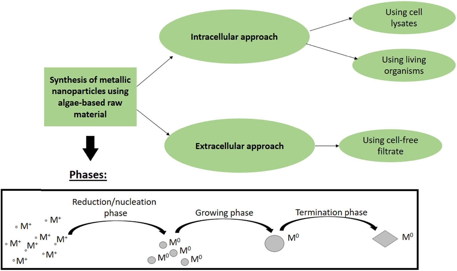 Figure 2
Approaches of NPs’ synthesis using algae-based materials and phases involved in the process.