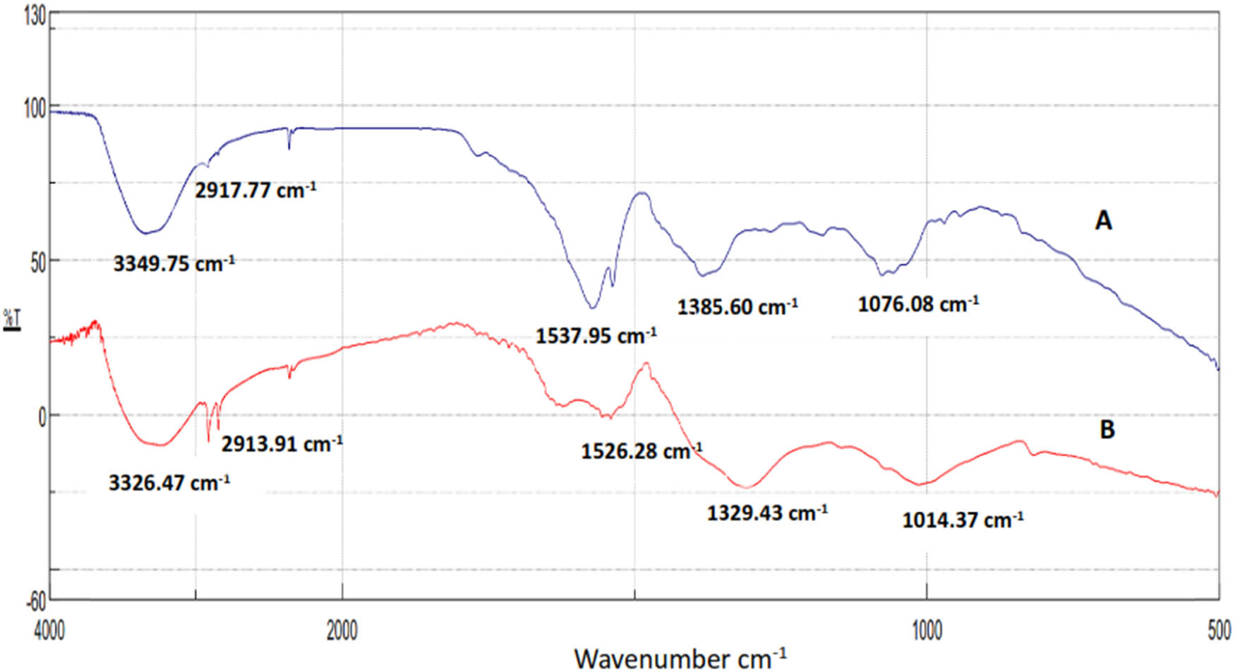 Figure 13 
                  FTIR spectra of C. fragrans leaf extracts (A) and AgNPs biosynthesized using the leaf extracts (B).
               