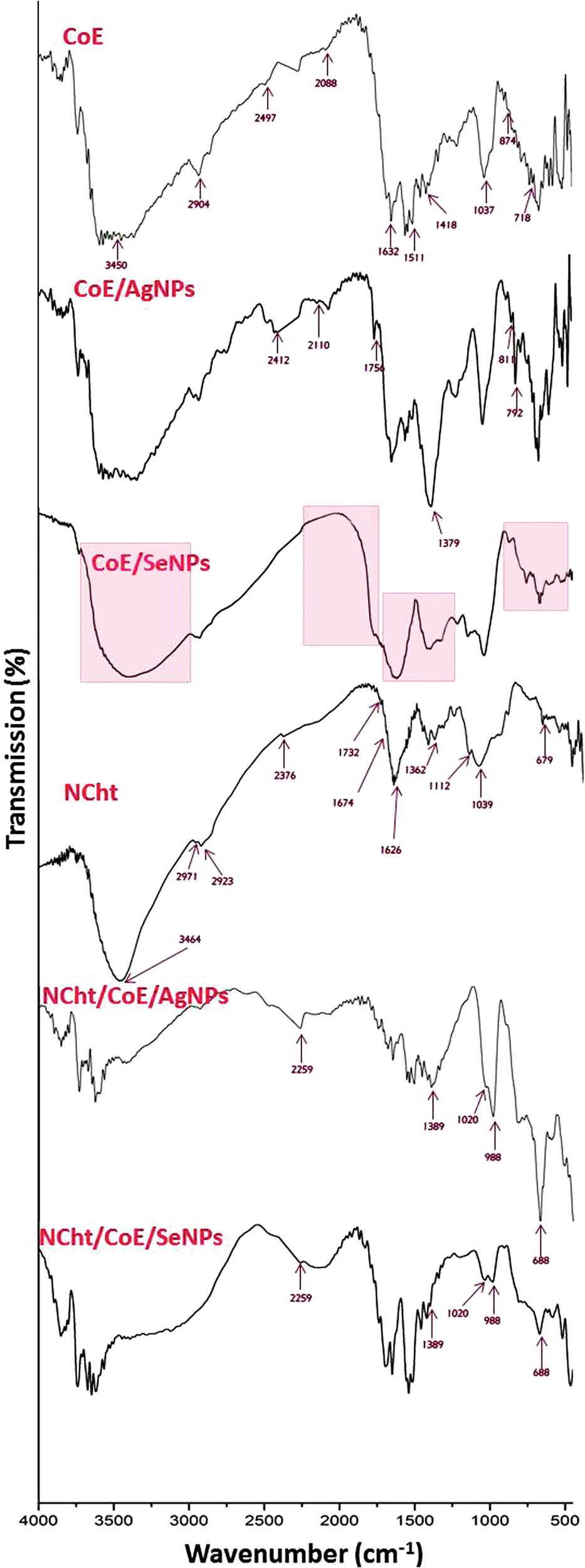 Figure 2 
                  Infra-red spectra of Corallina officinalis aqueous extract (CoE), CoE-mediated AgNPs (CoE/AgNPs), CoE-mediated SeNPs (CoE/SeNPs), chitosan nanoparticles (NCht), their combined composites (NCht/CoE/AgNPs and NCht/CoE/SeNPs).
               