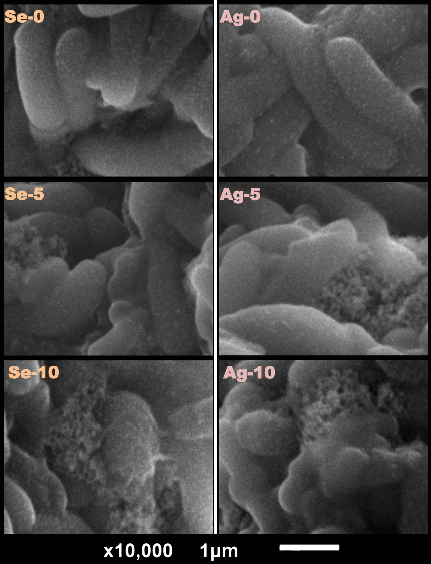 Teaser image from the article