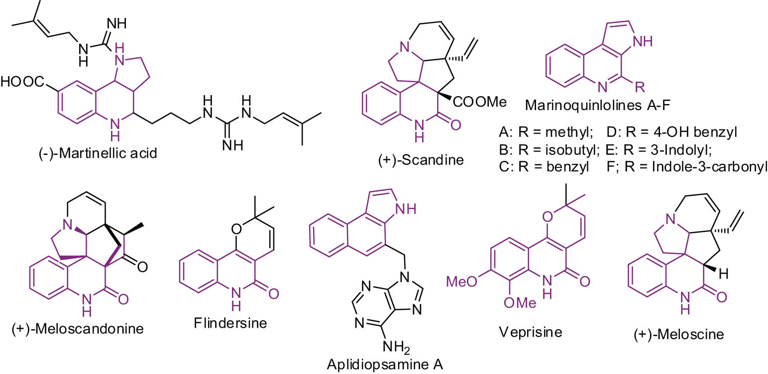 Figure 1
Biologically relevant pyrroloquinoline analogs.