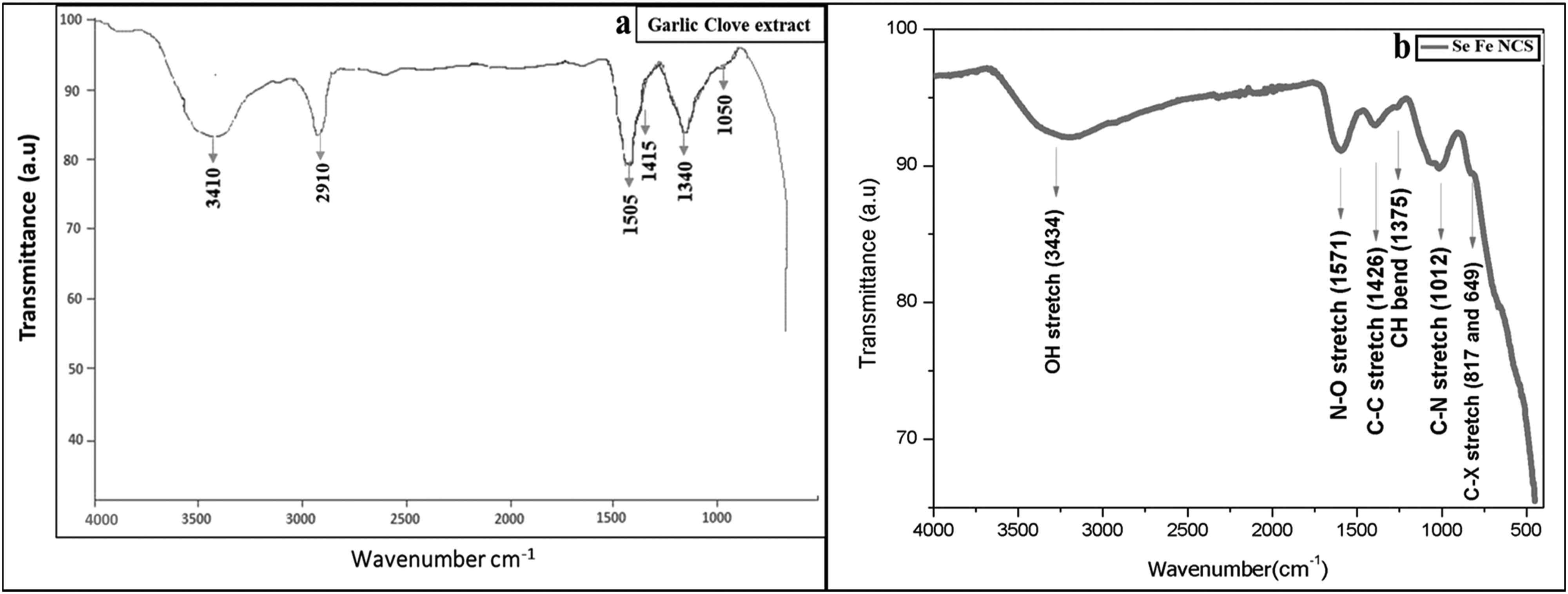Figure 4
FTIR investigation of (a) garlic clove extract and (b) Se–Fe NCs.