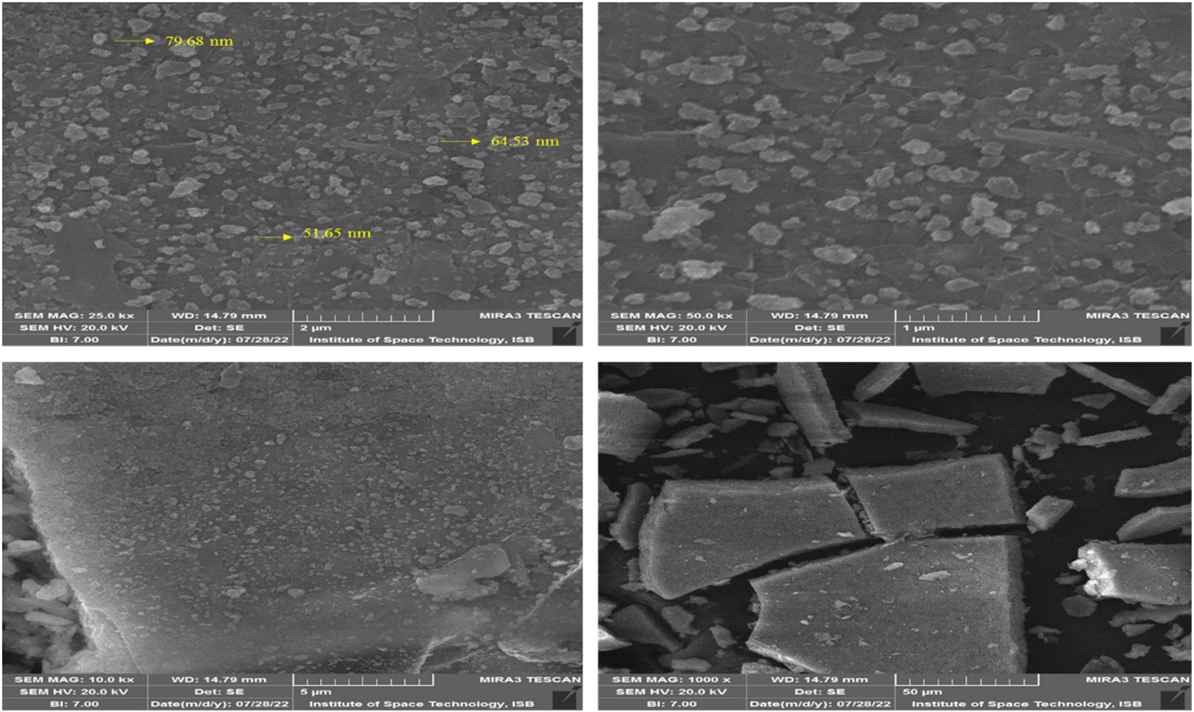 Figure 5 
                  SEM images of Se–Fe NC at various magnifications.
               