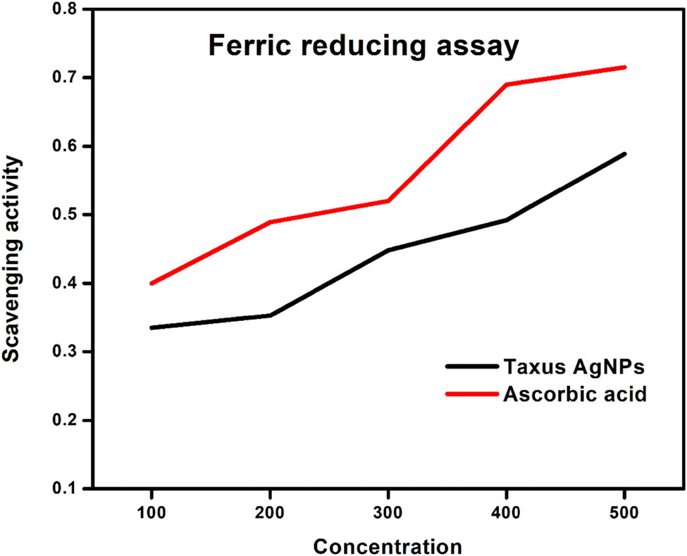 Figure 9 
                     Ferric reducing power assay at different concentrations of T. wallichiana AgNPs.
                  