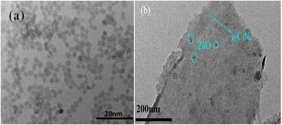 Figure 3 
                  TEM diagram of (a) ZnO and (b) ZnO-g-C3N4 10% nanoparticles.