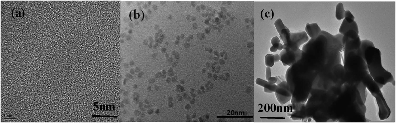 Figure 4 
                  HRTEM images of (a,b) ZnO QDS and (c) ZnO QDS-g-C3N4 10% nanoparticles.