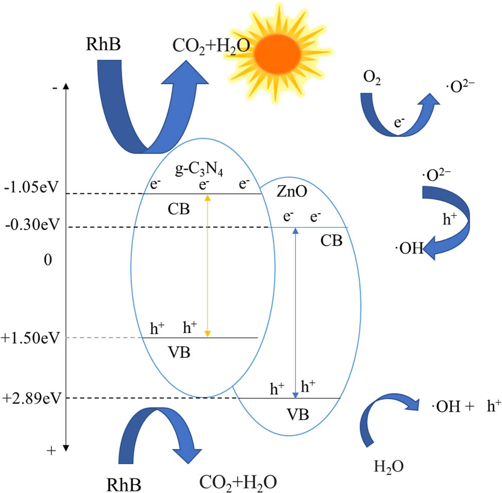 Figure 20 
                  Schematic diagram of the photocatalytic reaction mechanism.