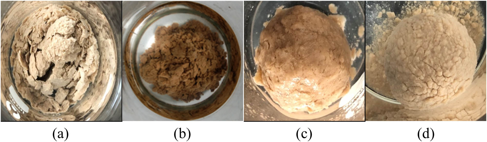 Figure 3 
                     The mud balls are soaked in different treating agents for 24 h: (a) water, (b) 3% KCl, (c) 1% KPAM, and (d) the drilling fluid.
                  