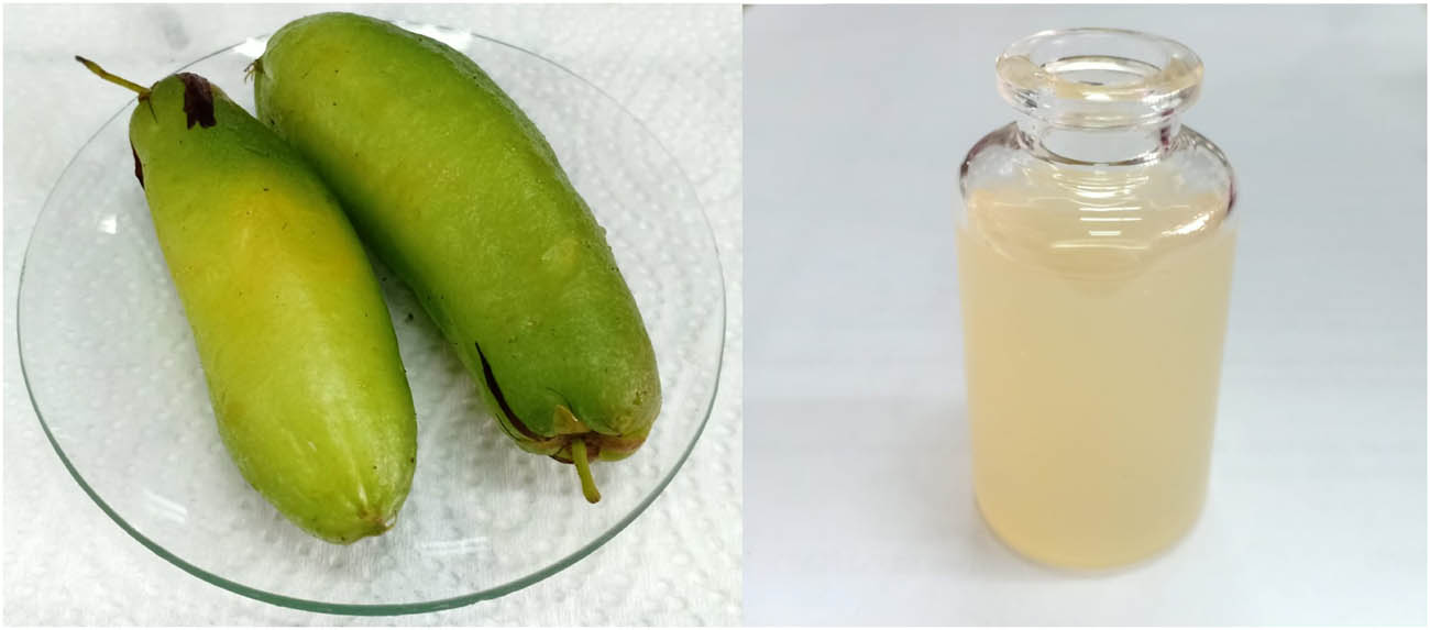 Teaser image from the article