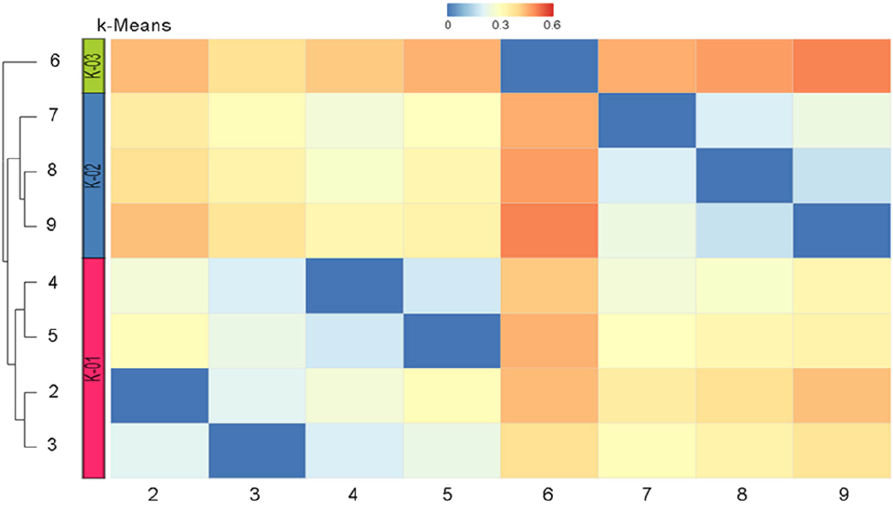Figure 2 
                  The resulting heat map of the similarity of molecular models based on the Tanimoto coefficient.
               