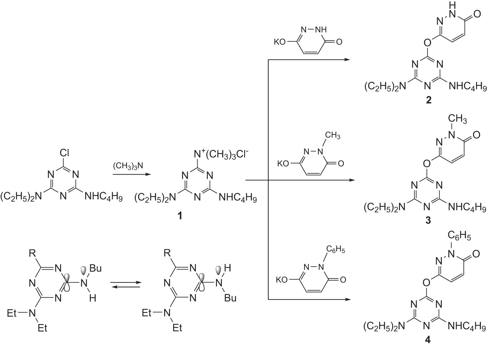 Scheme 1 
                  Synthesis of triazinyloxypyridazine derivatives.
               