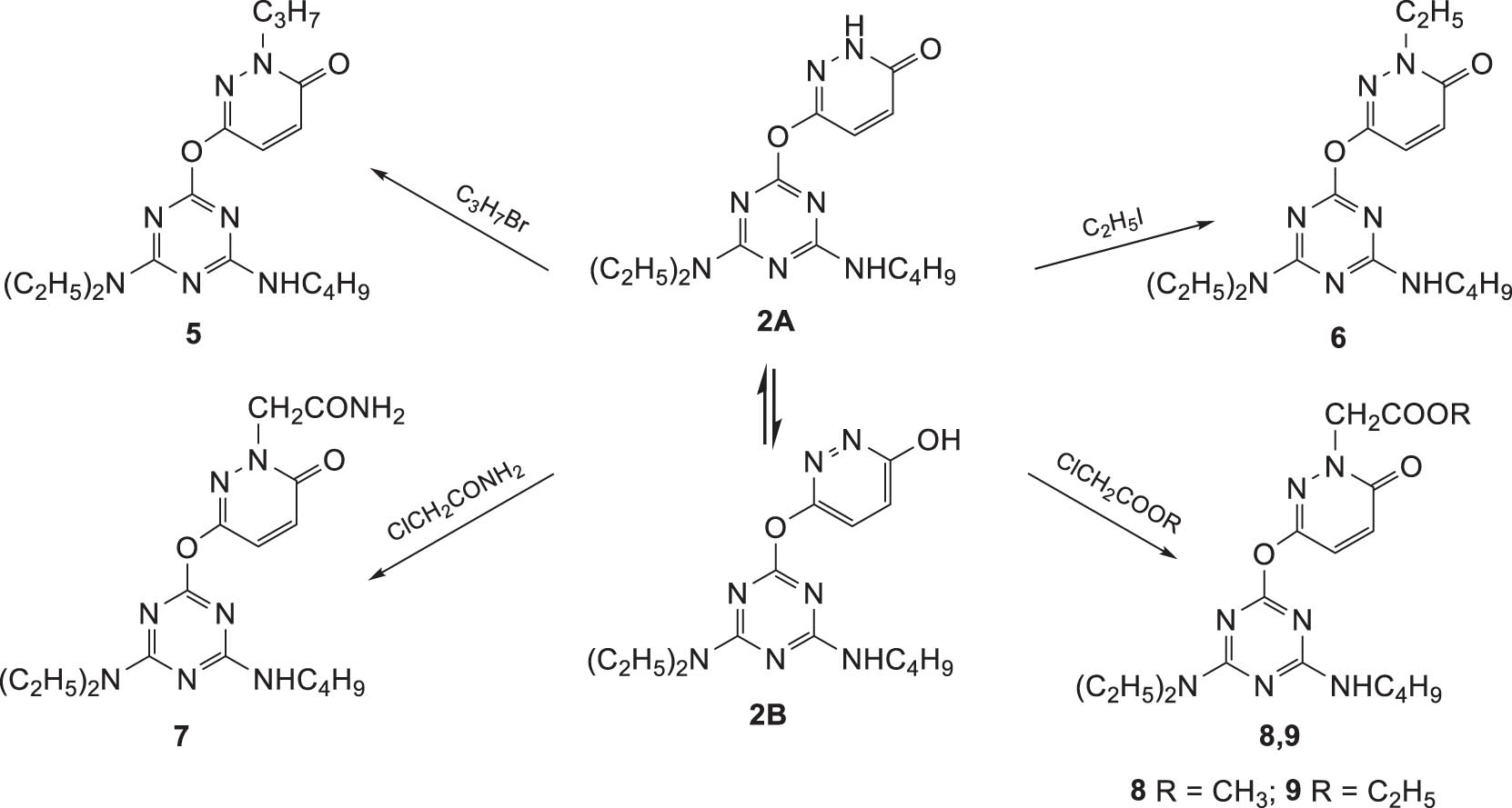 Scheme 2 
                  Synthesis of N-substituted derivatives of 6-((4-(butylamino)-6-(diethylamino)-1,3,5-triazin-2-yl)oxy)pyridazin-3(2H)-one (2).
               