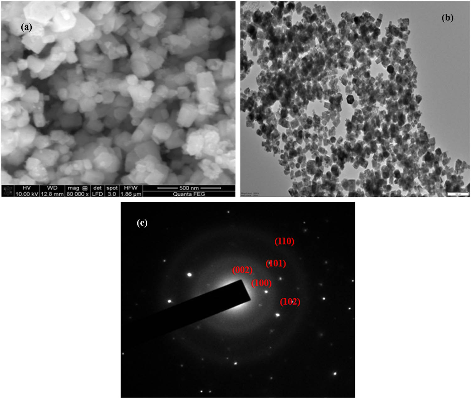 Figure 2
SEM (a), TEM (b) image, and SAED pattern (c) of Pcf-ZnONPs.