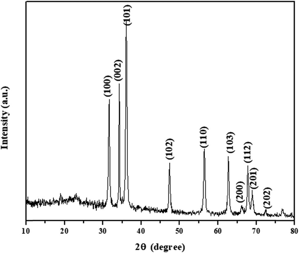 Figure 3 
                     XRD analysis of the synthesized ZSP/D-Pin/NCs. The findings of XRD analysis revealed several peaks, which verify the crystalline nature of the synthesized ZSP/D-Pin/NCs.
                  