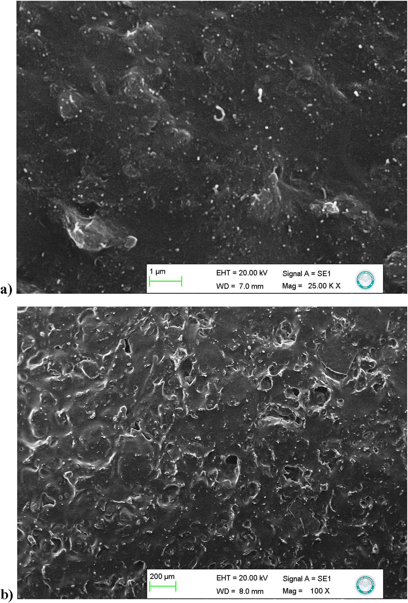 Figure 2
SEM images of PDMS/MWCNT/pumice (a) and silicone oil/MWCNT/pumice (b) composites.