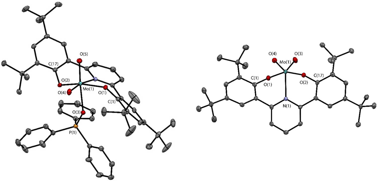 Figure 9 
                  Thermal ellipsoid plots of complexes 20 (left) and 21 (right). Reprinted with permission from ref. [97].
               