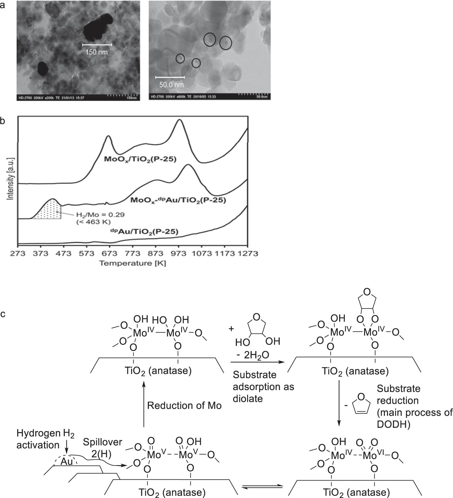 Figure 10 
                  (a) TEM images of MoOx-impAu/TiO2 (P-25) (left) and MoOx-dpAu/TiO2 (P-25) (right) (Au 0.3 wt%, Mo 1.0 wt%) after reaction; (b) H2-TPR profiles of different Au catalysts; and (c) the catalytic mechanism of MoOx-dpAu/TiO2 (P-25) for the DODH of 1,4-anhydroerythritol. Reprinted with permission from ref. [100].
               