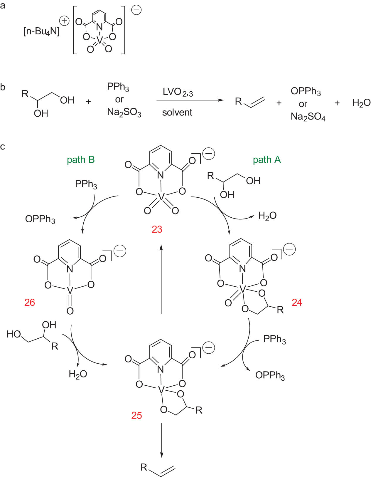Figure 12 
                  (a) The planar structure of complex [n-Bu4N](dipic)VO2; (b) DODH of vicinal diol catalyzed by V oxides; and (c) possible reaction pathways for [n-Bu4N](dipic)VO2-catalyzed DODH. Adapted with permission from ref. [105,106].
               
