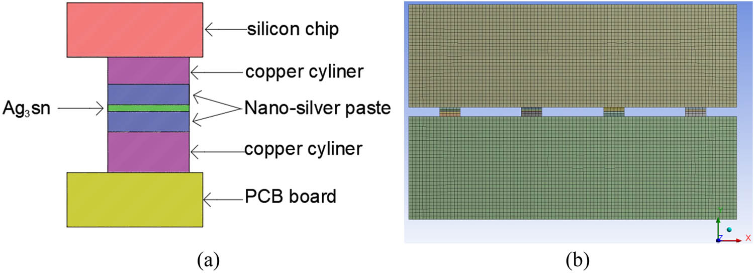 Figure 2 
                  (a) Finite element modeling and (b) meshing.
               