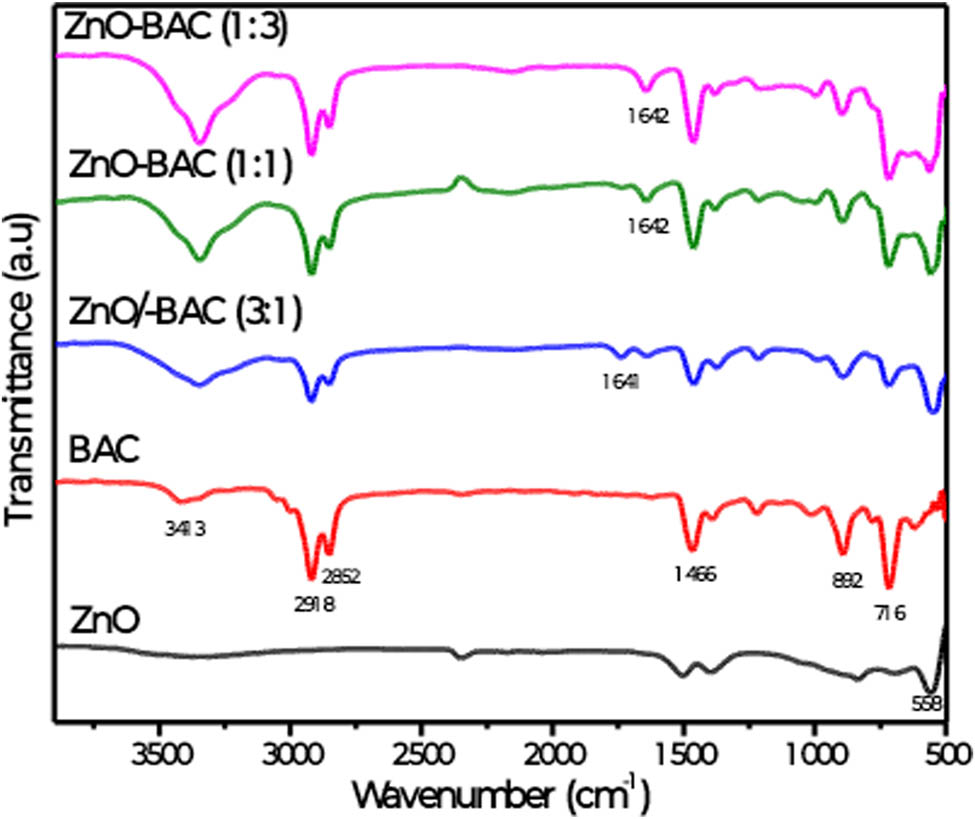 Figure 1 
                     FTIR spectra of zinc oxide (ZnO) without and with different mass percentages of BAC.
                  