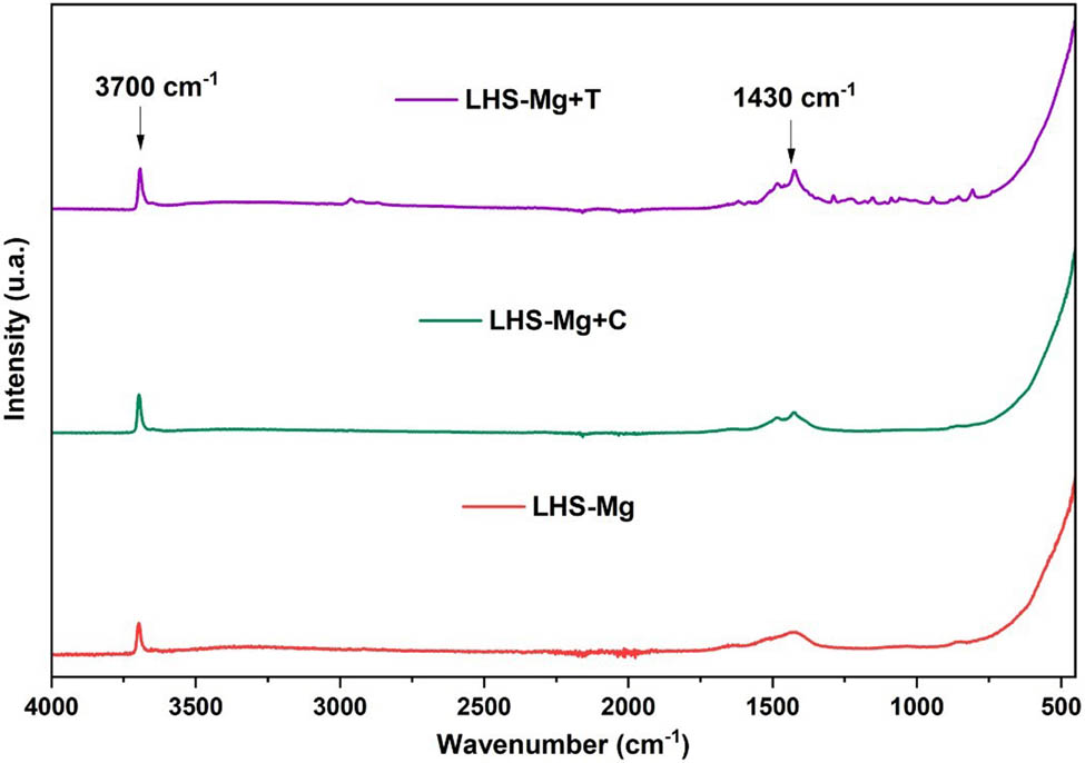Figure 3
FT-IR spectra for LHS-Mg, LHS-Mg+T, and LHS-Mg+C.