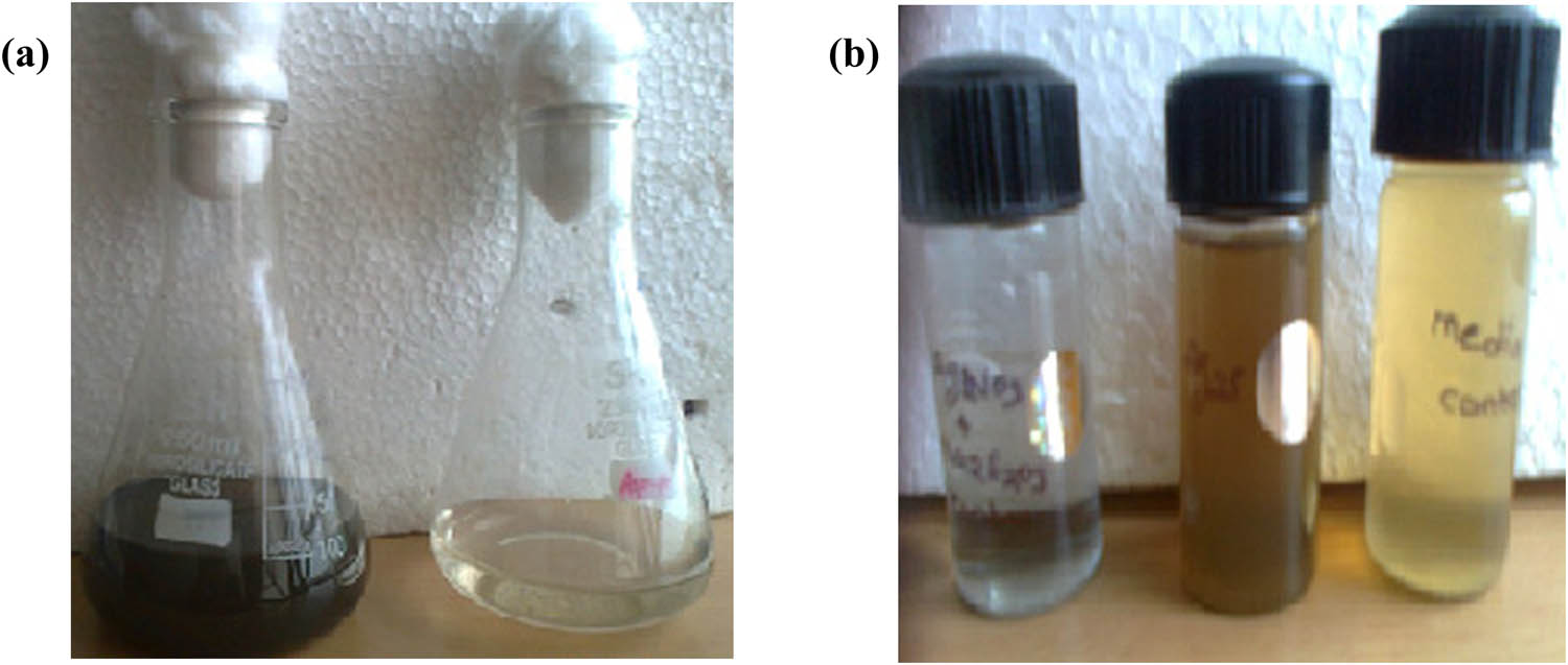 Figure 2 
               Production of Ag2SNPs by M10A62 strain (a and b).
            