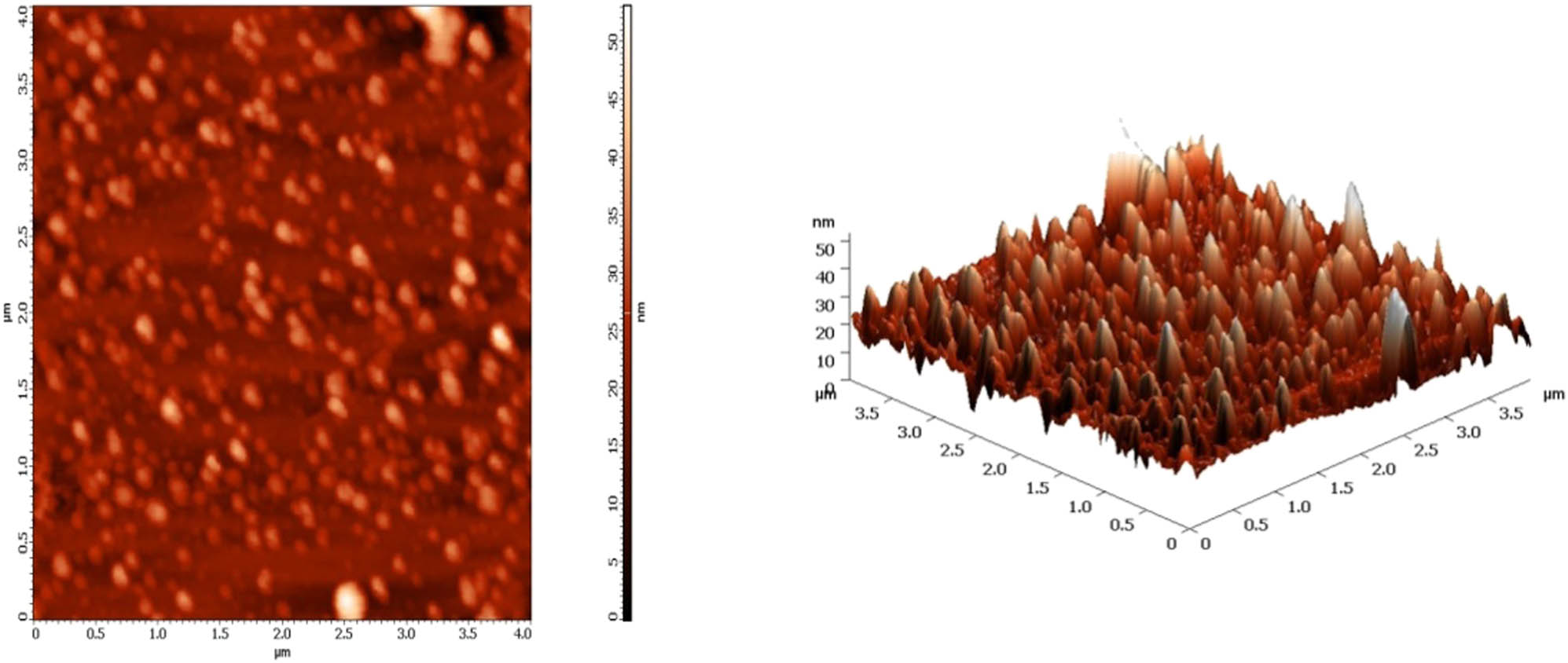 Figure 5 
               AFM images of S. minutiscleroticus derived Ag2SNPs.
            
