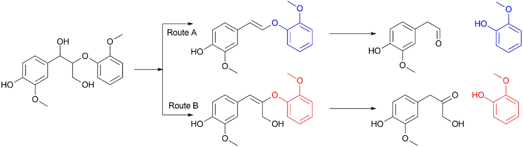 Scheme 6 
                  Vinyl ether cleavage into alcohol and carbonyl compounds. Adapted from the study of Sturgeon et al. [127].
               