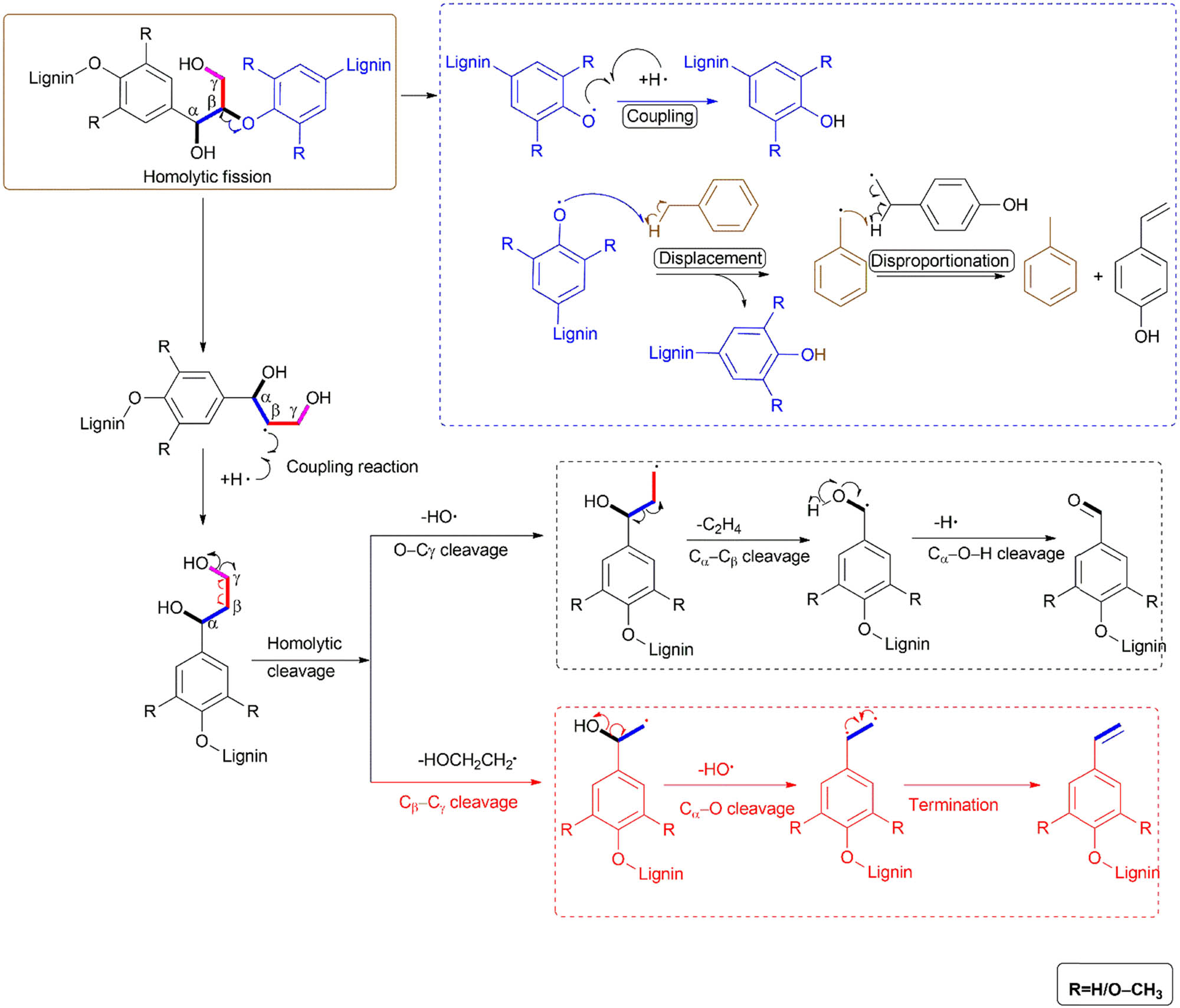 Scheme 15 
                  A summary of selected homolytic depolymerisation reactions of lignin.
               