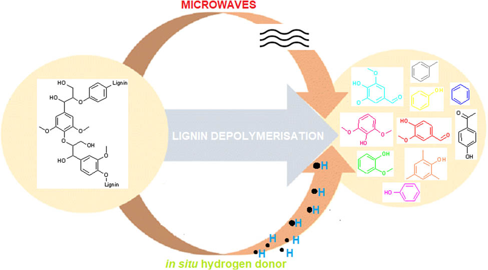 Teaser image from the article