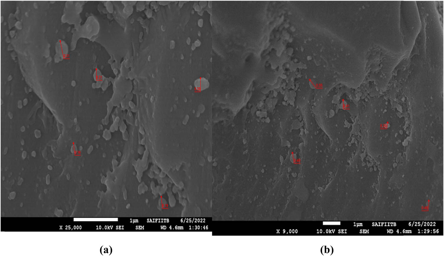 Figure 3 
                     SEM image of Silica@ZnO: (a) at 1 μm scale and (b) at 100 nm scale.
                  