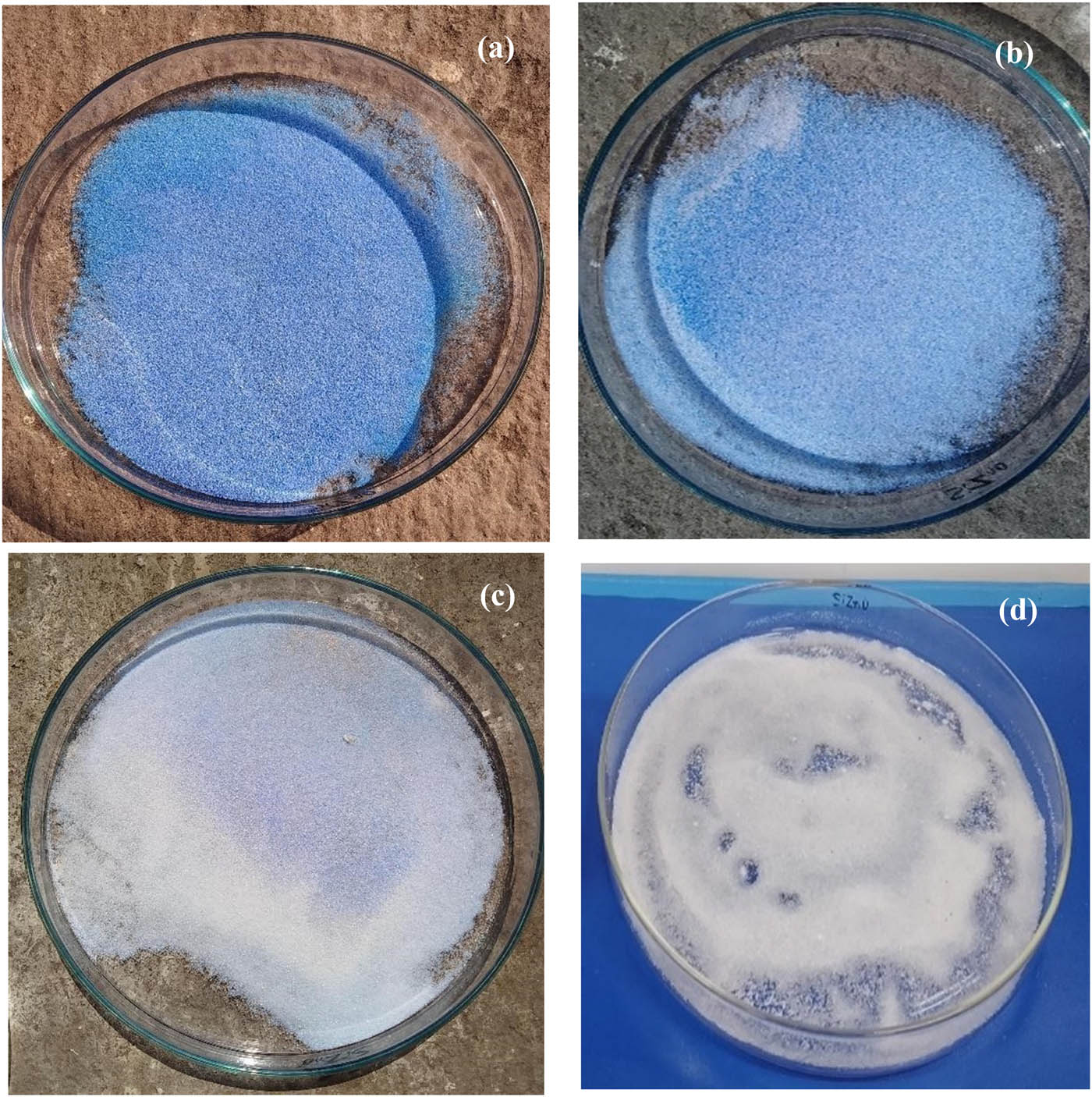 Figure 8 
               (a) Colour changes of Silica@ZnO after one cycle, (b) drying of silica after 10 min, (c) change in colour from dark blue to light blue after 30 min, and (d) complete recovery of Silica@ZnO.
            