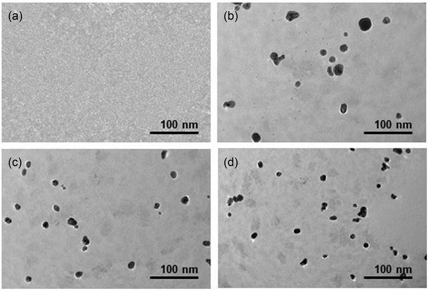 Figure 2
TEM images of (a) the sugarcane leaf extract and AgNPs via green synthesis at pH (b) 6, (c) 8, and (d) 10.