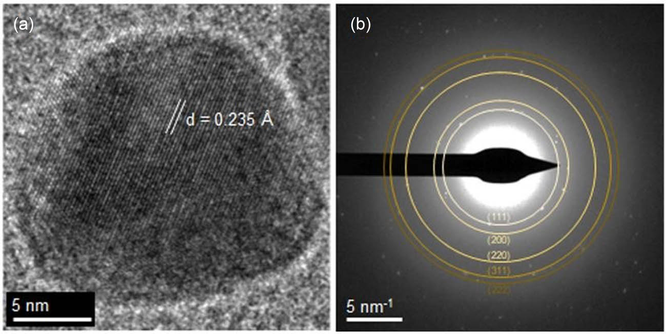 Figure 3
FE-TEM images illustrating (a) AgNPs synthesized via a green synthesis process at pH 10, accompanied by (b) the corresponding SAED pattern.