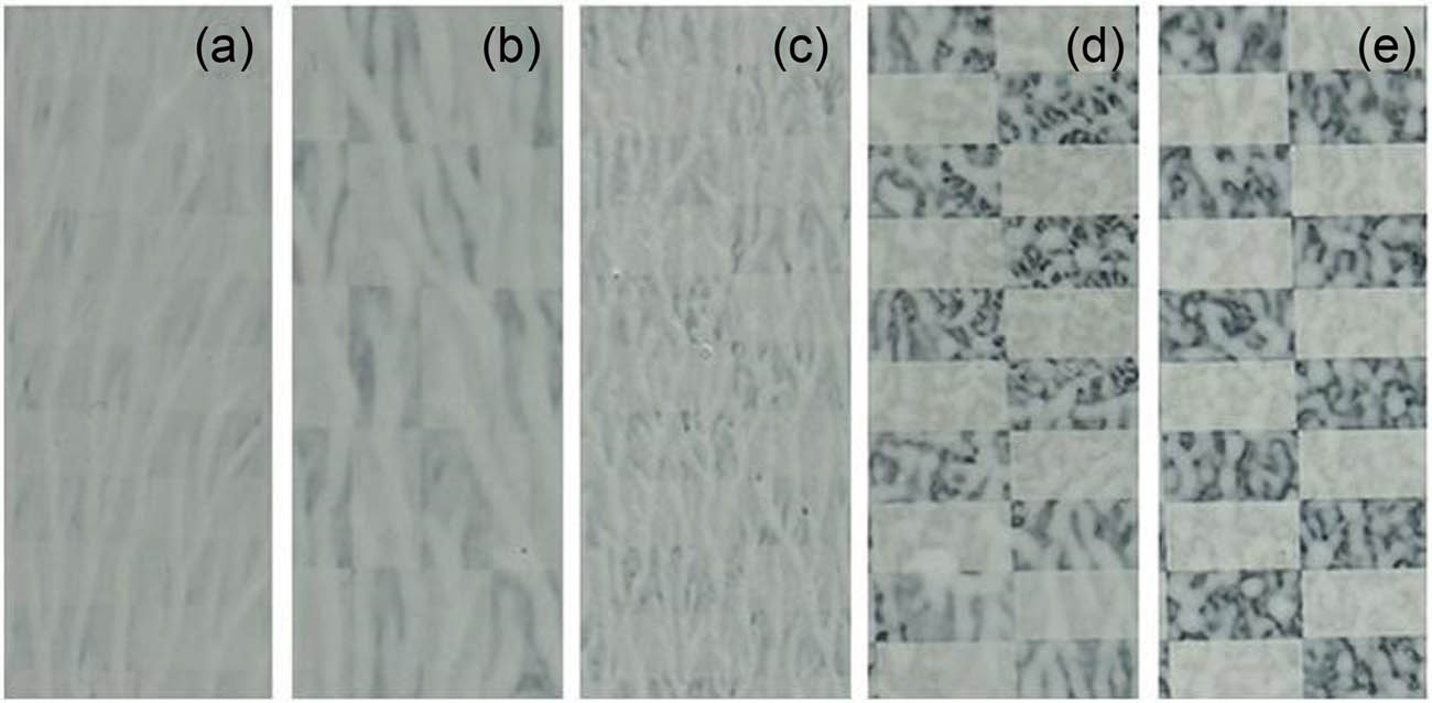 Figure 6
The hiding power of architectural paints with AgNP concentrations of (a) 0, (b) 60, (c) 80, (d) 100, and (e) 120 ppm.
