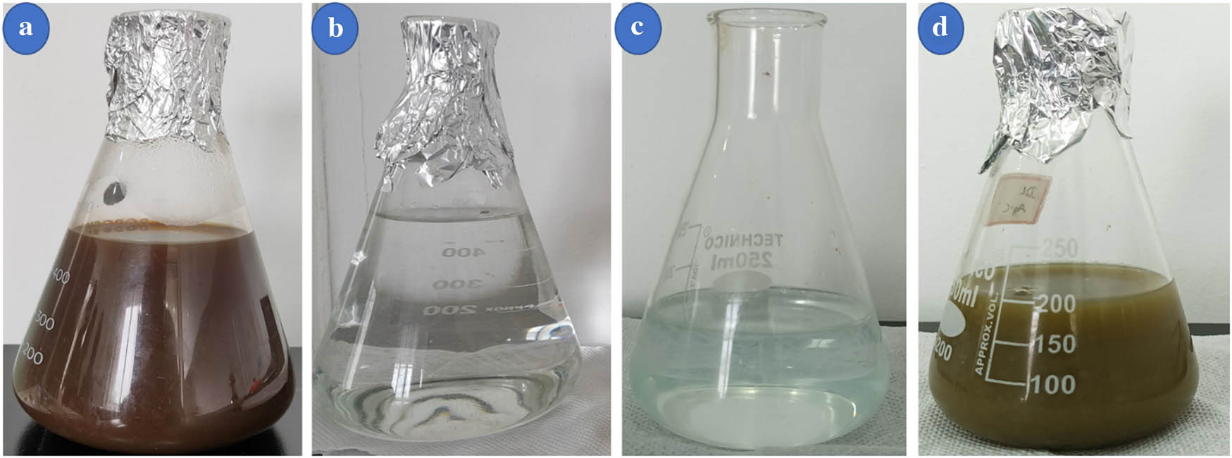 Figure 1
Fabrications of bimetallic Ag–Cu NPs from L. inermis. (a) Aqueous leaf extract of L. inermis. (b) 2 mM silver nitrate (AgNO3), (c) 0.2 M copper acetate, and (d) color shift of the extract from light brown to light green after development at room temperature (synthesized Ag–Cu NPs).